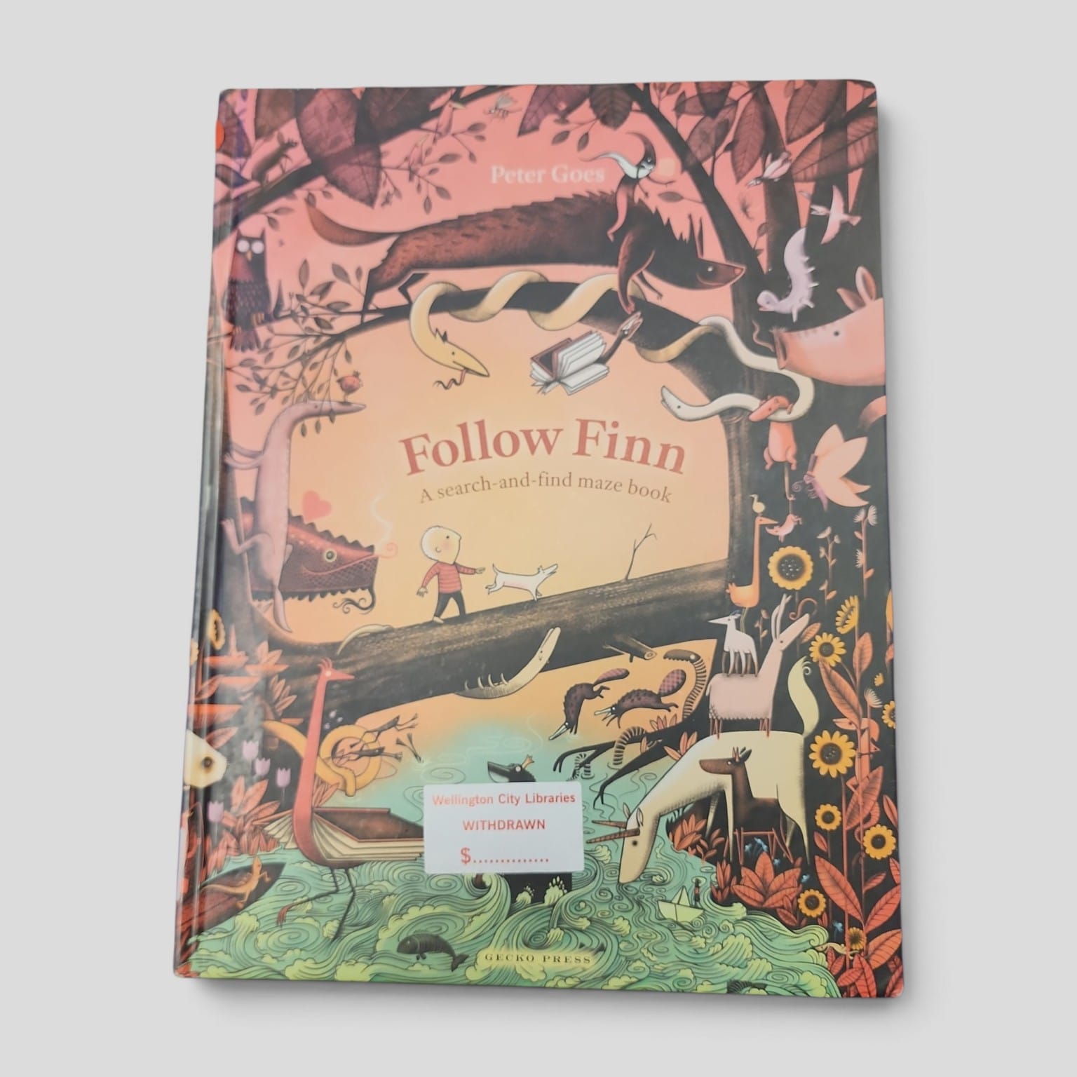 Follow Finn by Peter Goes front cover