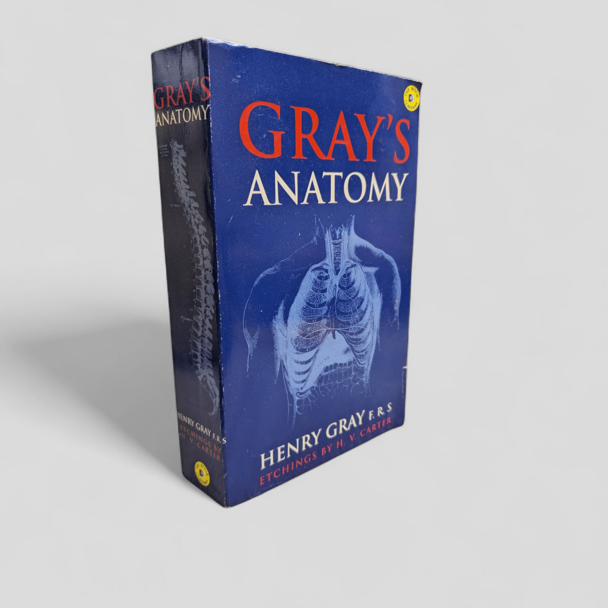 Gray's Anatomy by Henry Gray, Illustrated by H.V. Carter - Books Worth Keeping