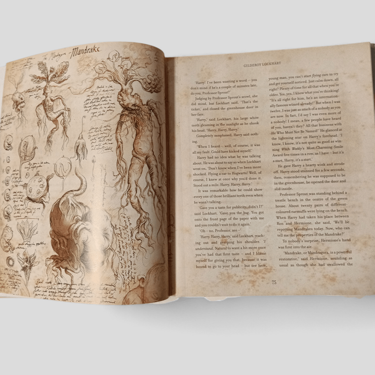 Harry Potter and the Chamber of Secrets by J.K. Rowling - Books Worth Keeping