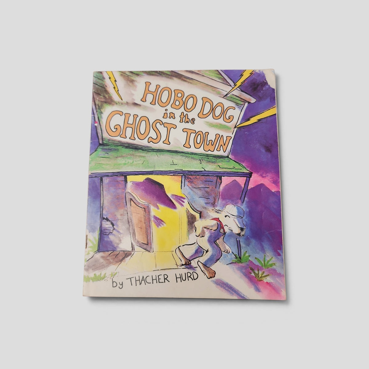 Hobo Dog in the Ghost Town by Thacher Hurd