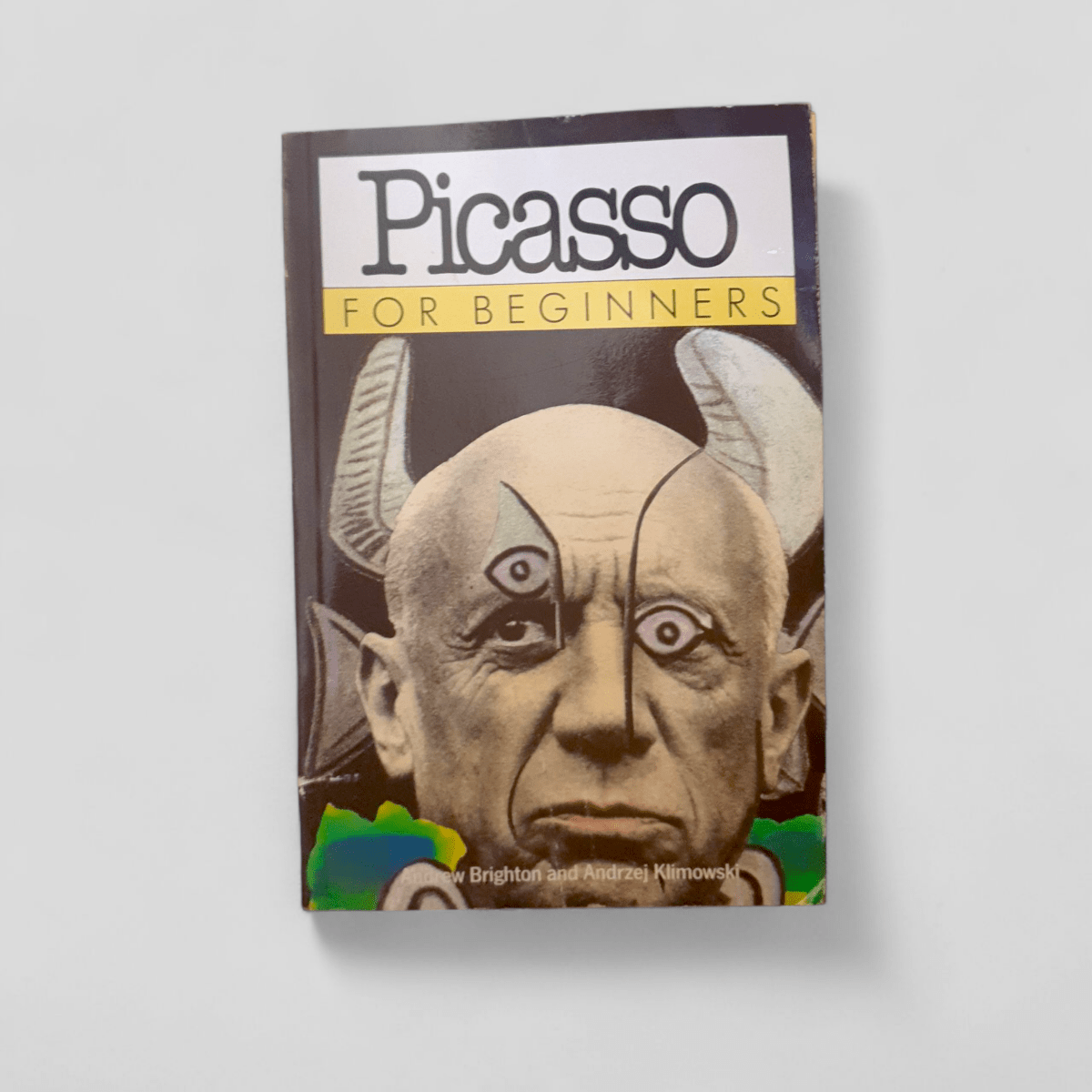 Introducing Picasso by Andrew Brighton - Books Worth Keeping