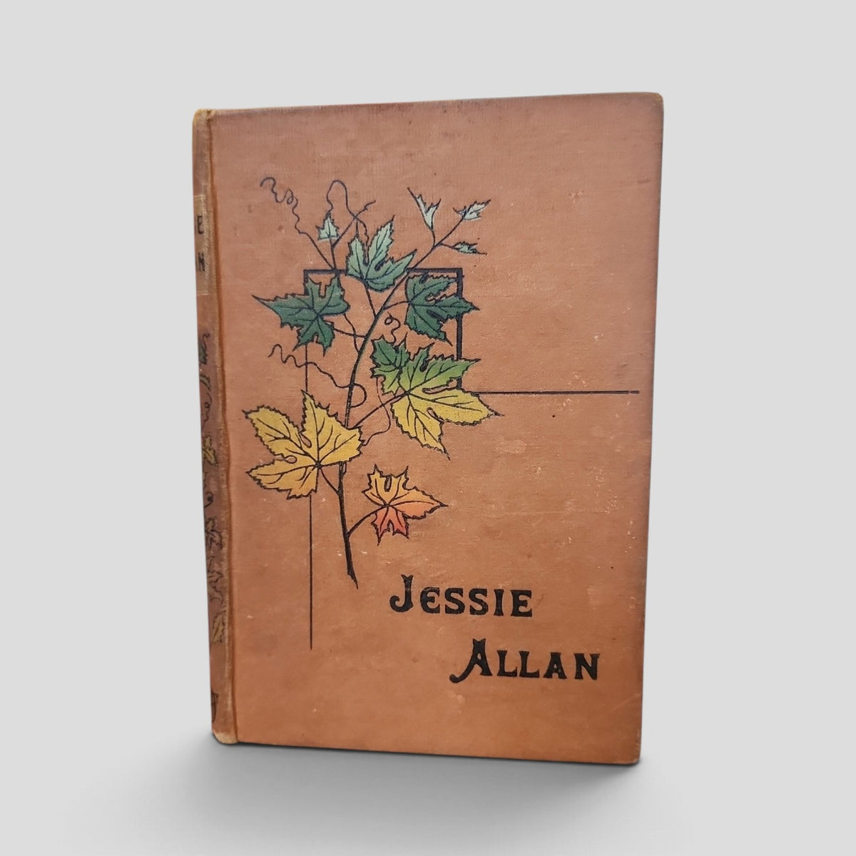 Jessie Allan The Lame Girl by Grace Kennedy
