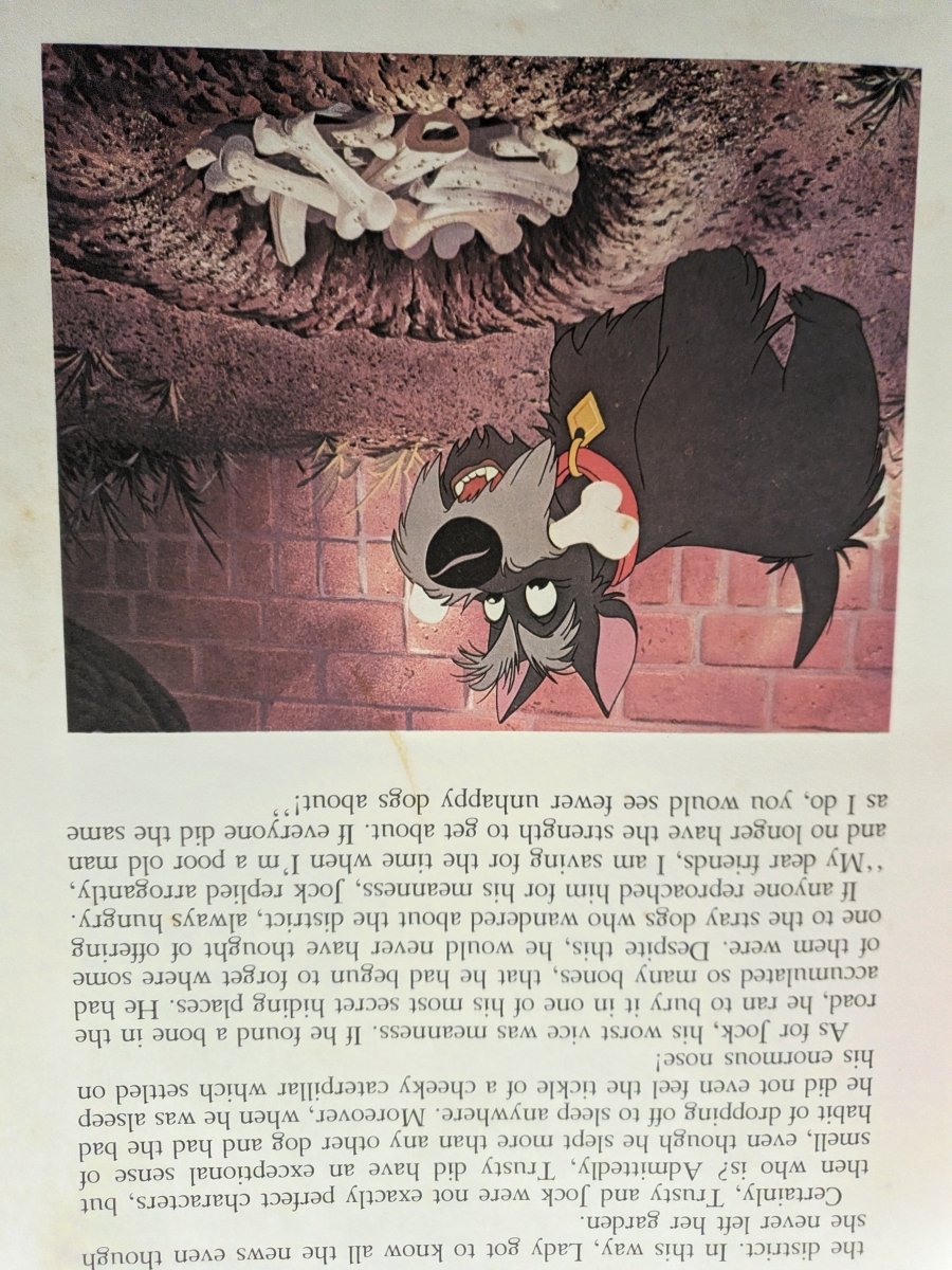 Lady and the Tramp: A Disney Film Classic - Books Worth Keeping