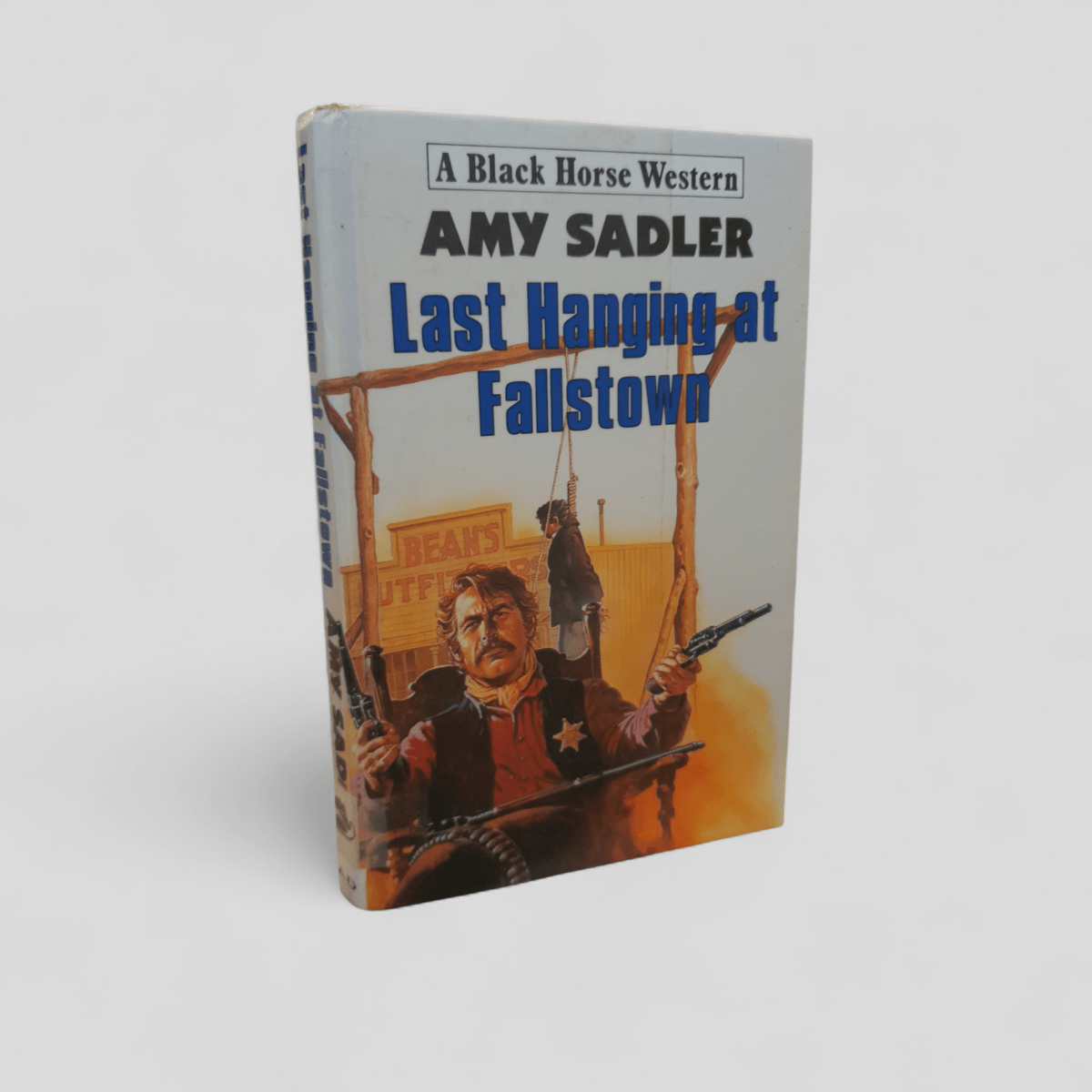 Last Hanging at Fallstown by Amy Sadler - Books Worth Keeping