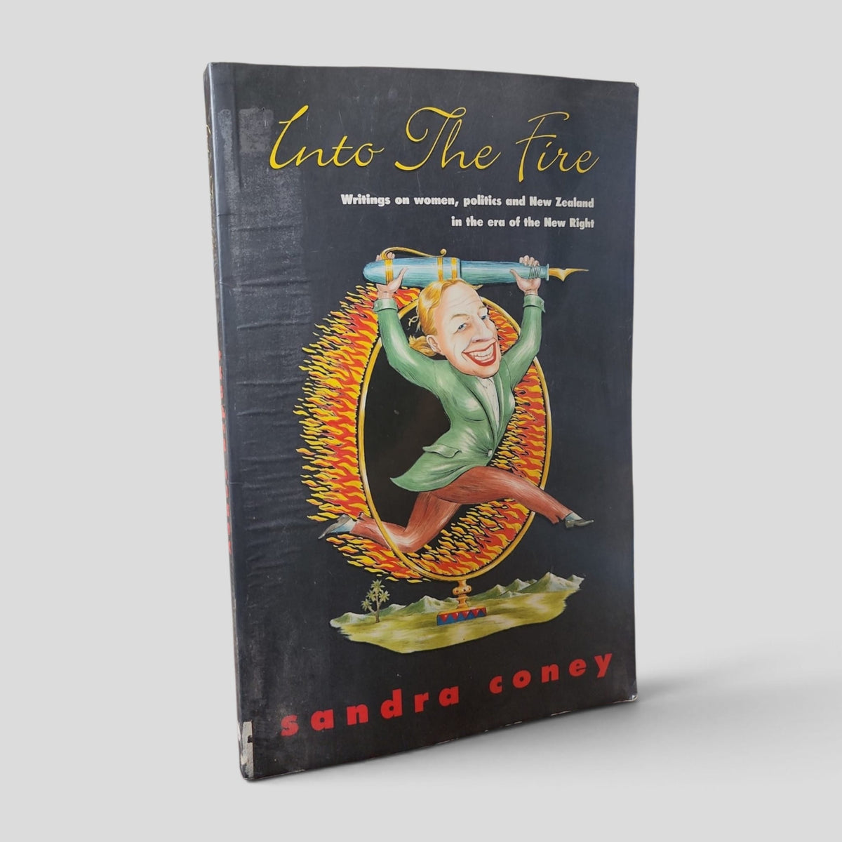 Into the Fire by Sandra Coney — front cover