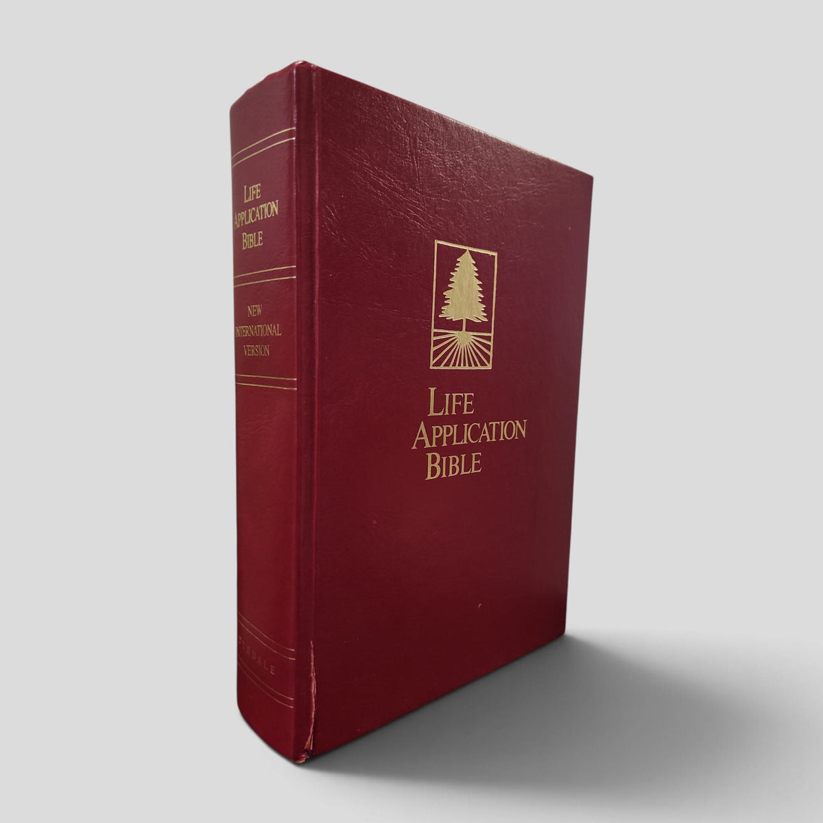 Life Application Bible — New International Version, Red Hardcover