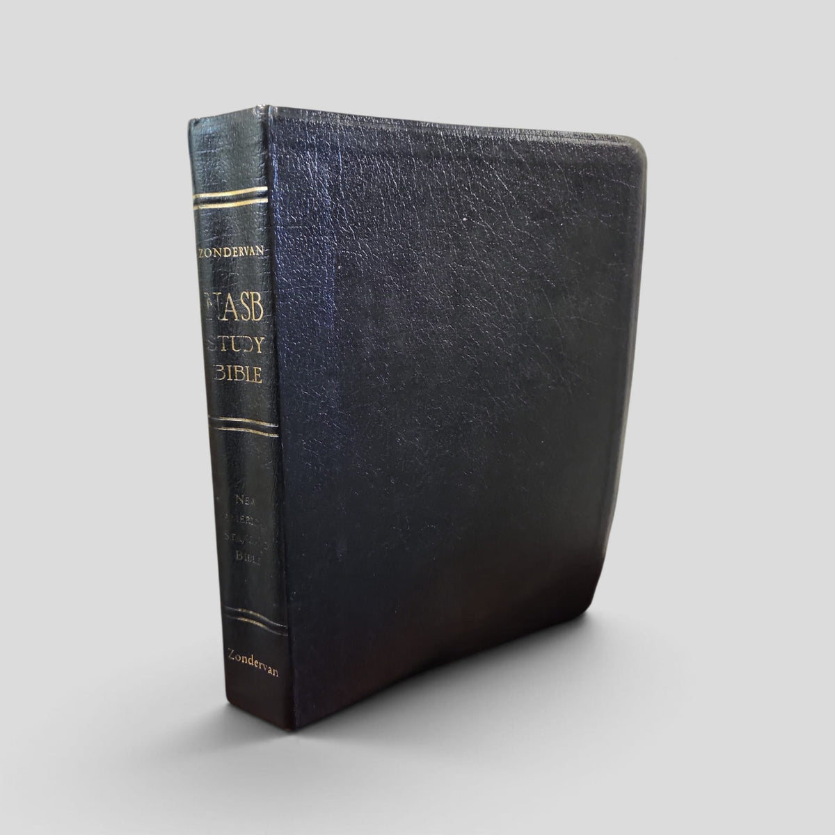 Zondervan NASB Study Bible — Black — original cover