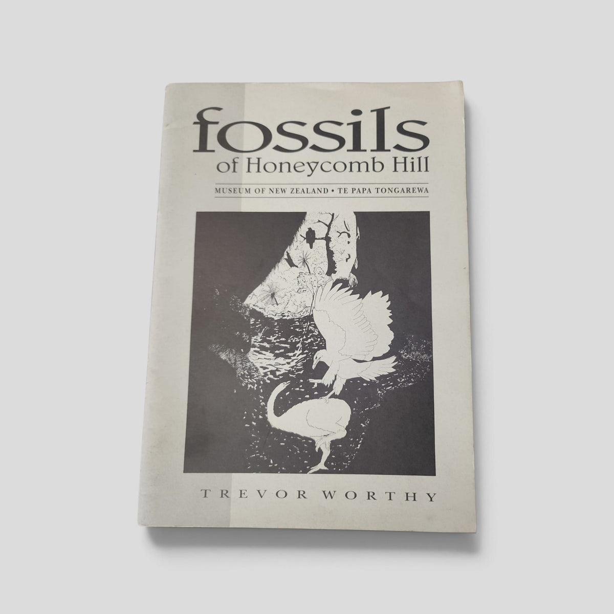 Fossils of Honeycomb Hill by Trevor Worthy — front cover