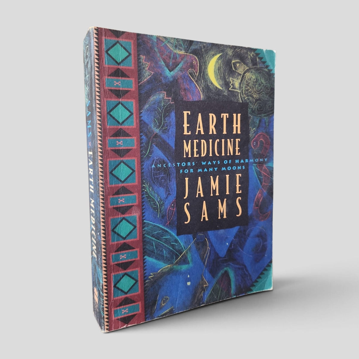 Earth Medicine by Jamie Sams — front cover