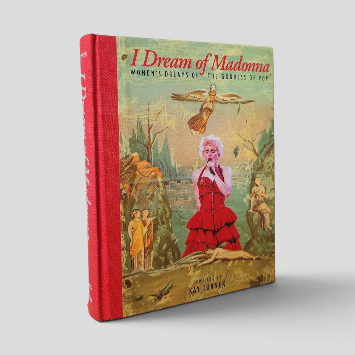 I Dream of Madonna by Kay Turner — front cover