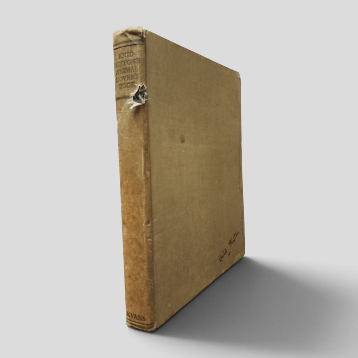 Enid Blyton's Animal Lover's Book (1952), actual cloth cover showing spine damage