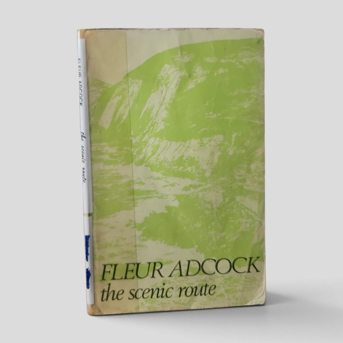 The Scenic Route by Fleur Adcock — front cover
