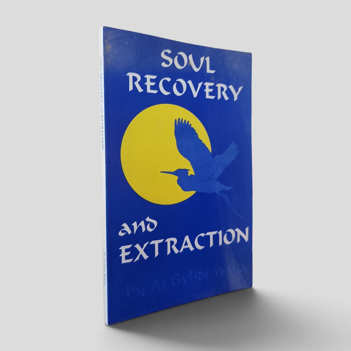 Soul Recovery and Extraction by Ai Gvhdi Waya — front cover