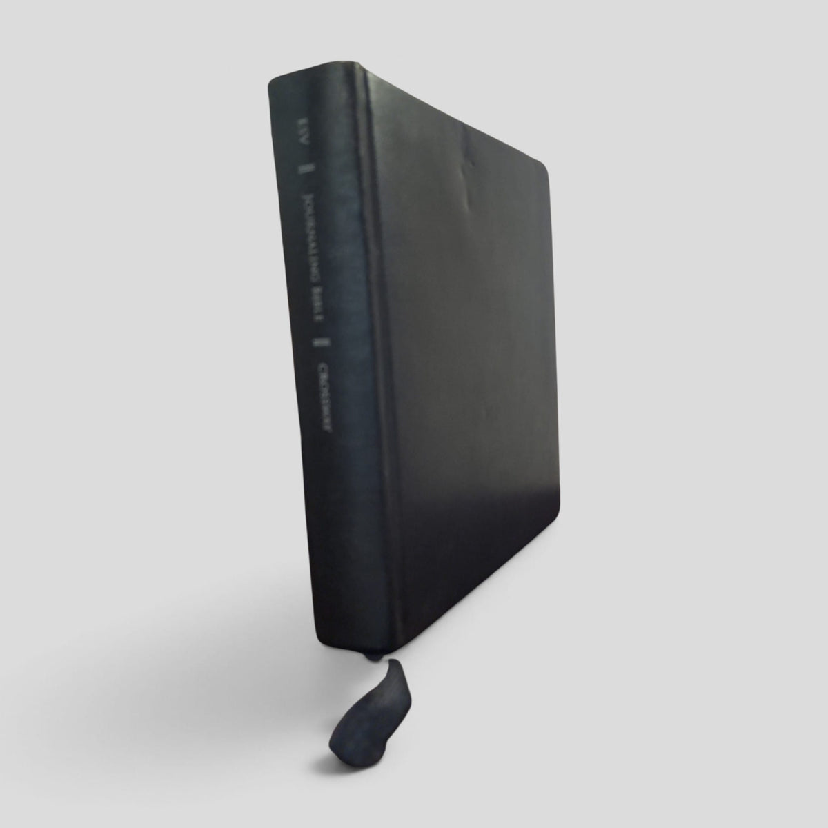 ESV Journaling Bible, actual cover