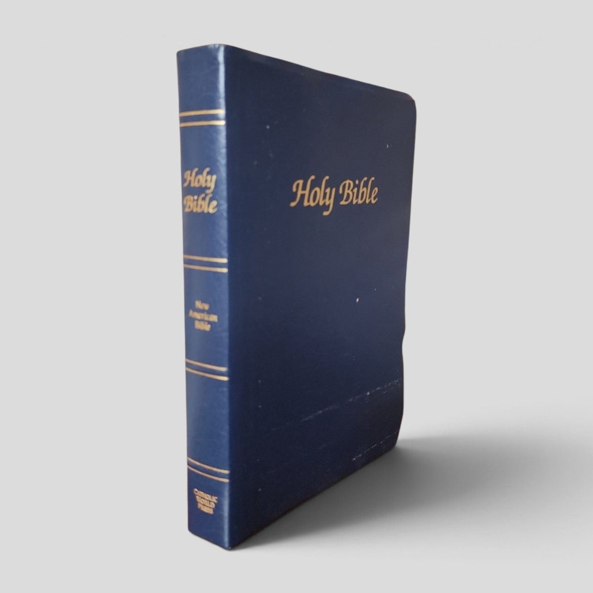 Holy Bible — New American Bible, Catholic World Press — actual copy