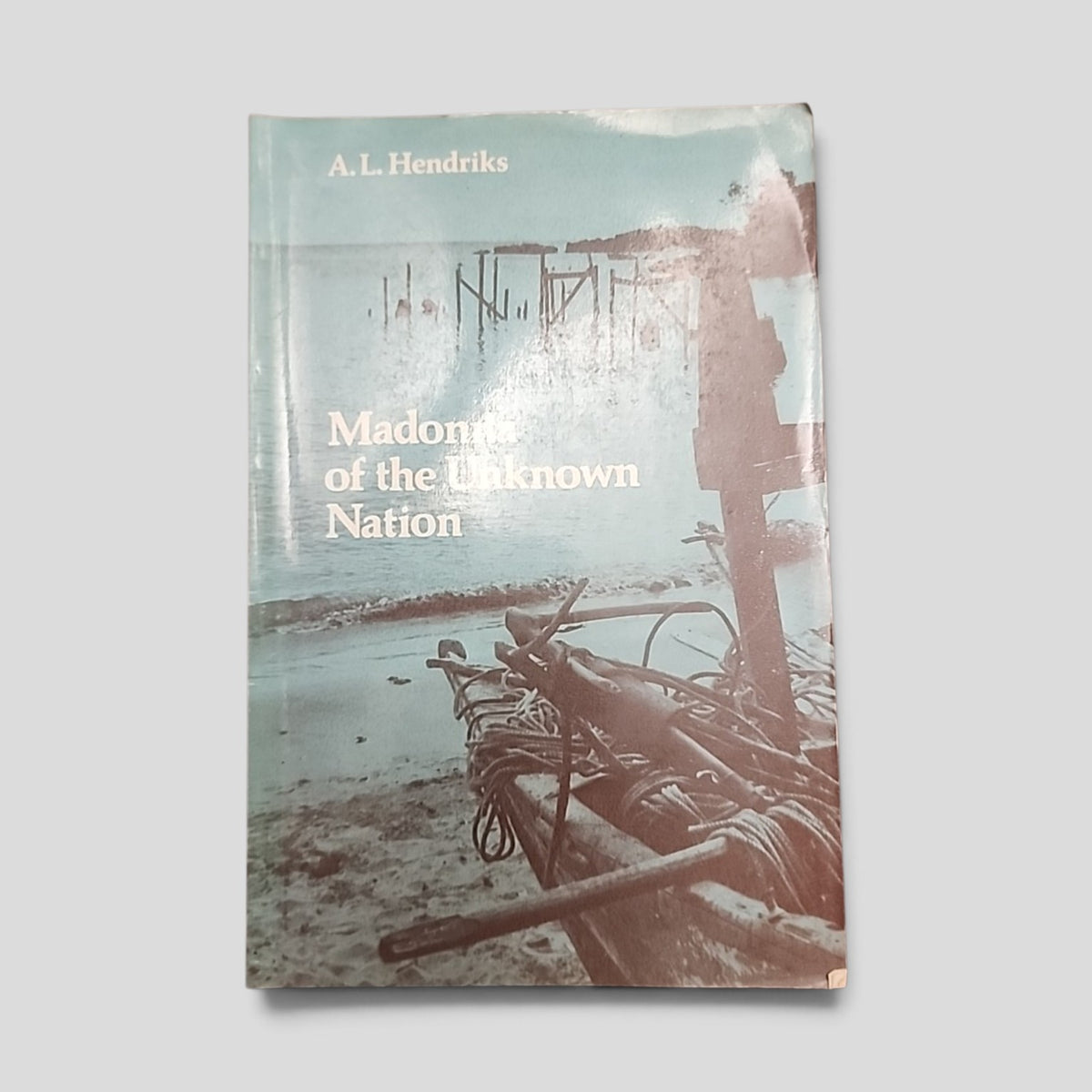 Madonna of the Unknown Nation by A. L. Hendriks paperback front cover