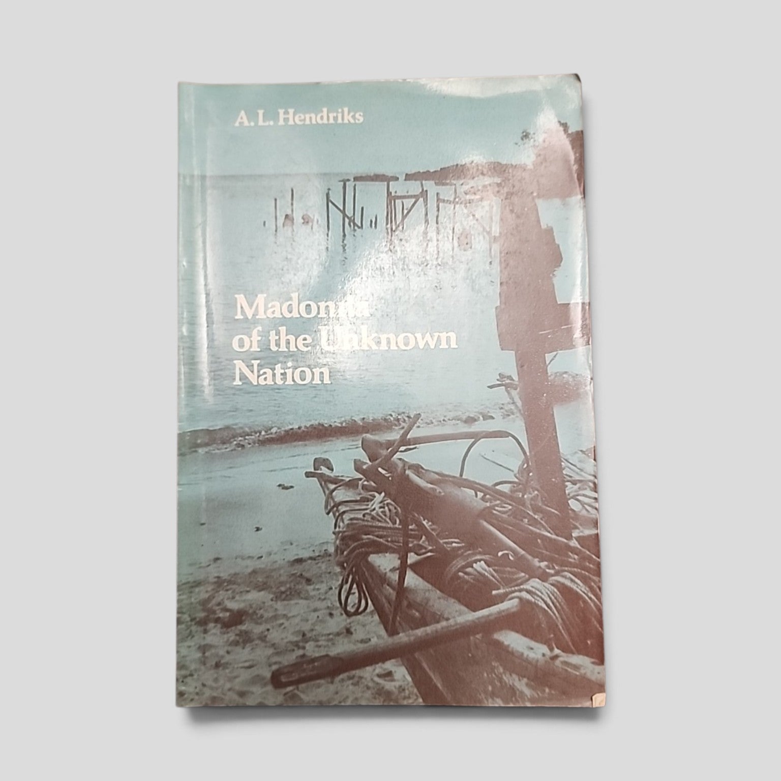 Madonna of the Unknown Nation by A. L. Hendriks paperback front cover