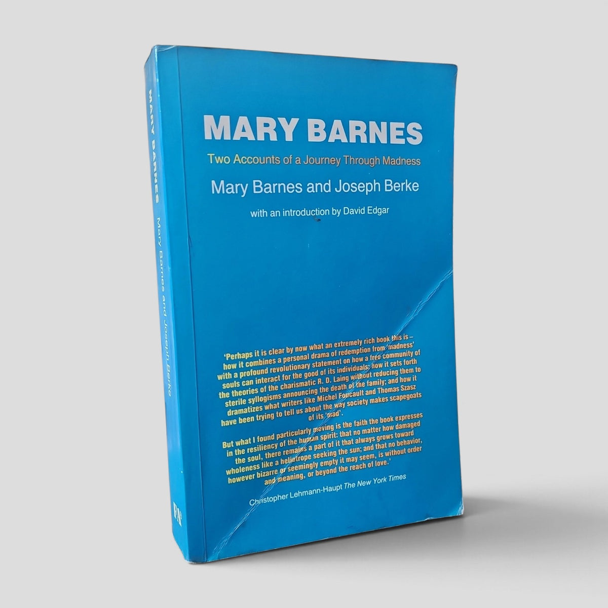 Mary Barnes by Mary Barnes and Joseph Berke