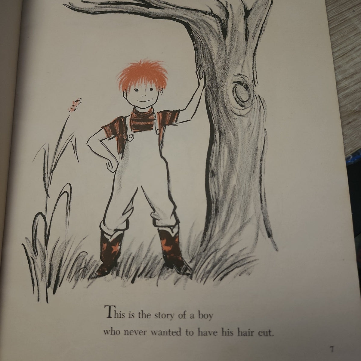 Interior illustration from Mop Top by Don Freeman