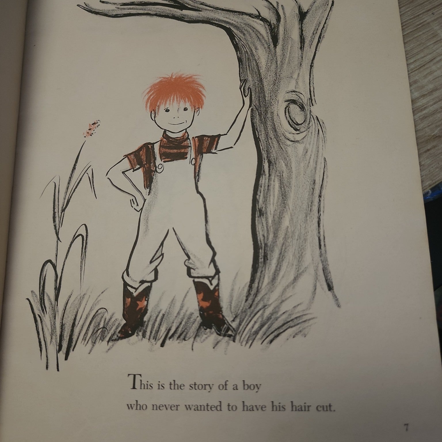 Interior illustration from Mop Top by Don Freeman