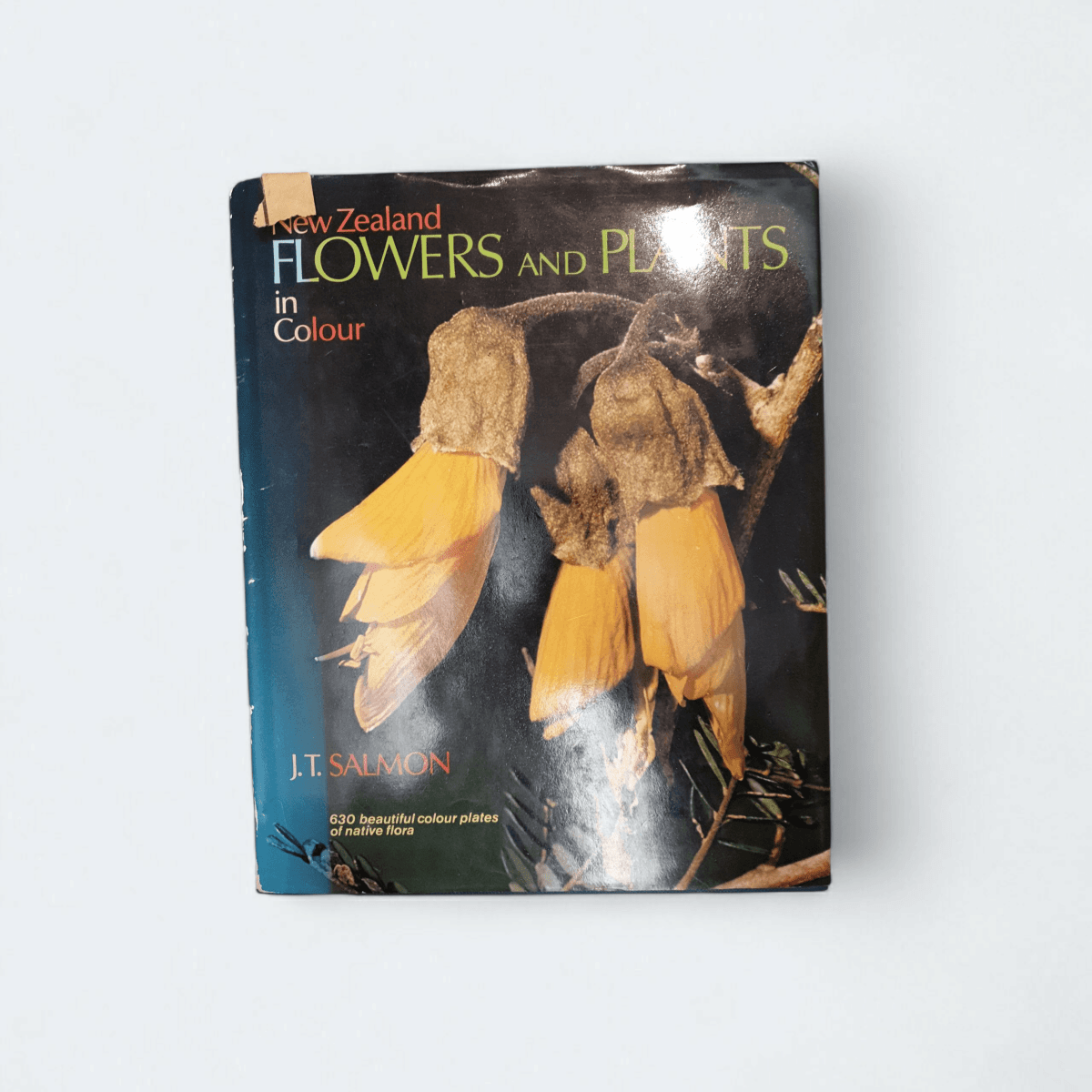 New Zealand Flowers and Plants in Colour - Books Worth Keeping