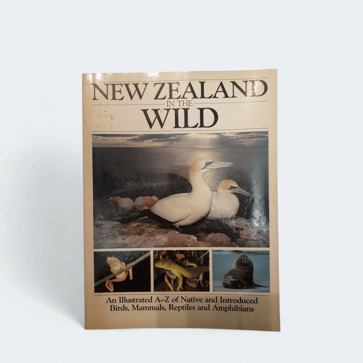 New Zealand in the Wild - Illustrated Guide - Books Worth Keeping
