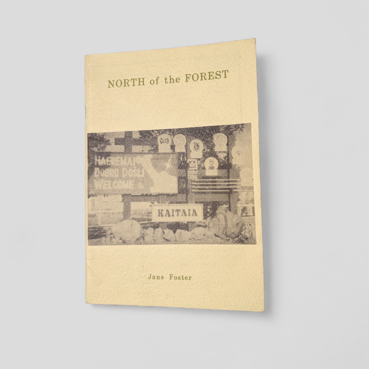 North of the Forest by Jane Foster - Books Worth Keeping