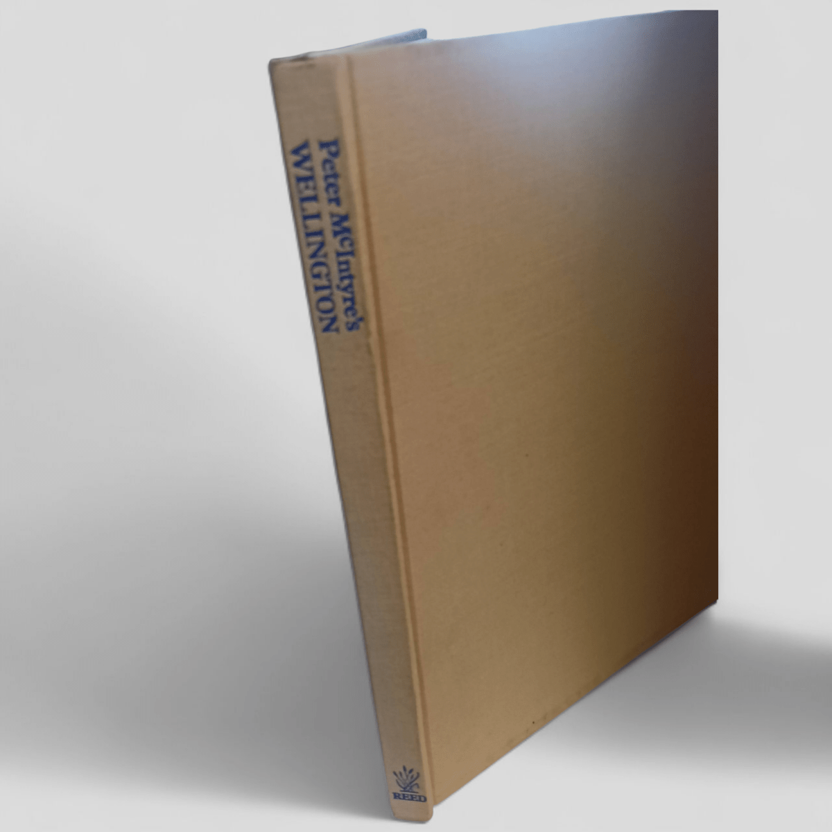 Peter McIntyre’s Wellington by Peter McIntyre - Books Worth Keeping