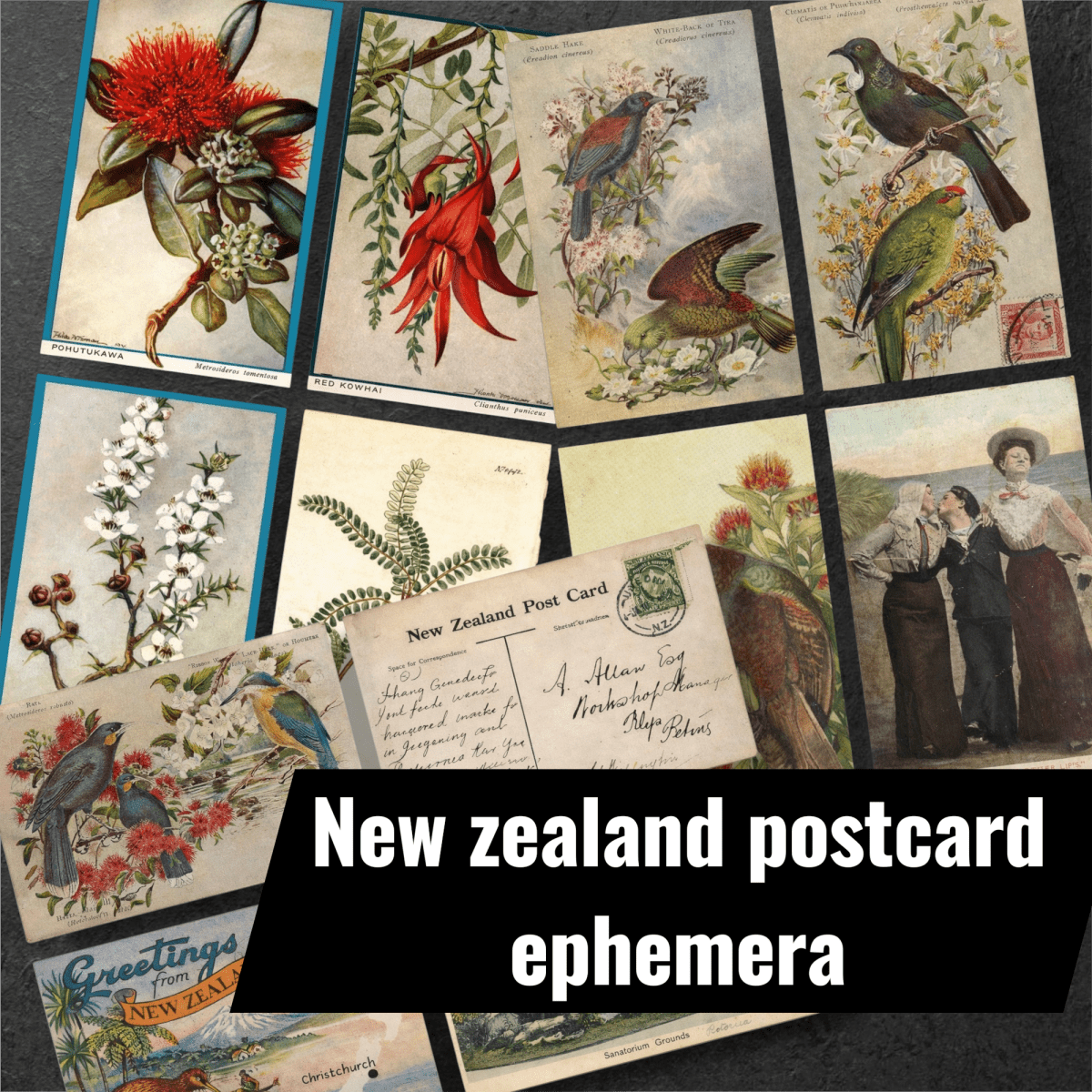 Pohutukawa Themed Printable Junk Journal Kit - Books Worth Keeping