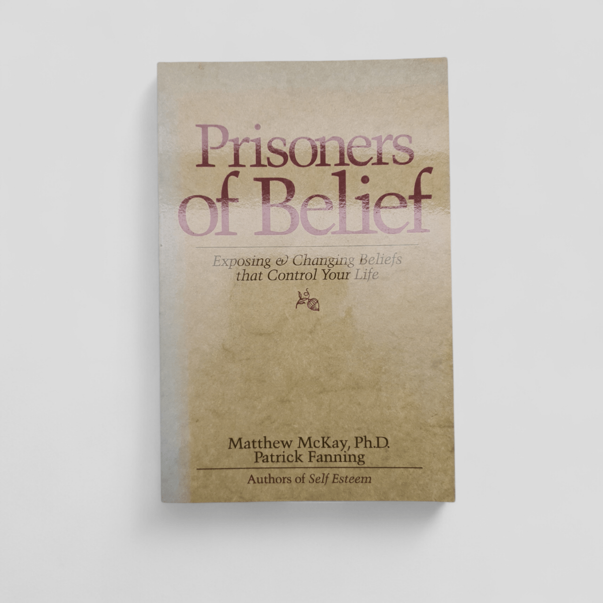 Prisoners of Belief: Exposing and Changing Beliefs That Control Your Life by Matthew McKay, Patrick Fanning - Books Worth Keeping