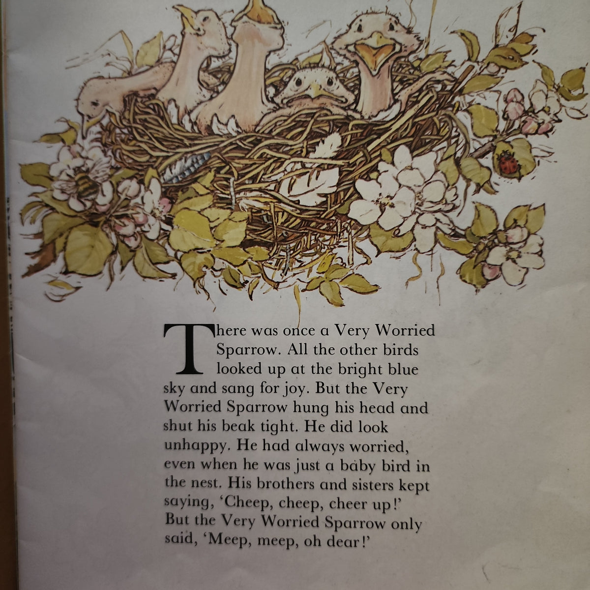 The Very Worried Sparrow by Meryl Doney