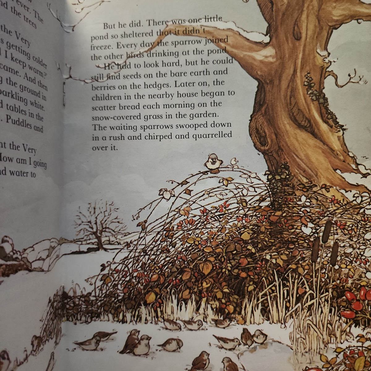 The Very Worried Sparrow by Meryl Doney