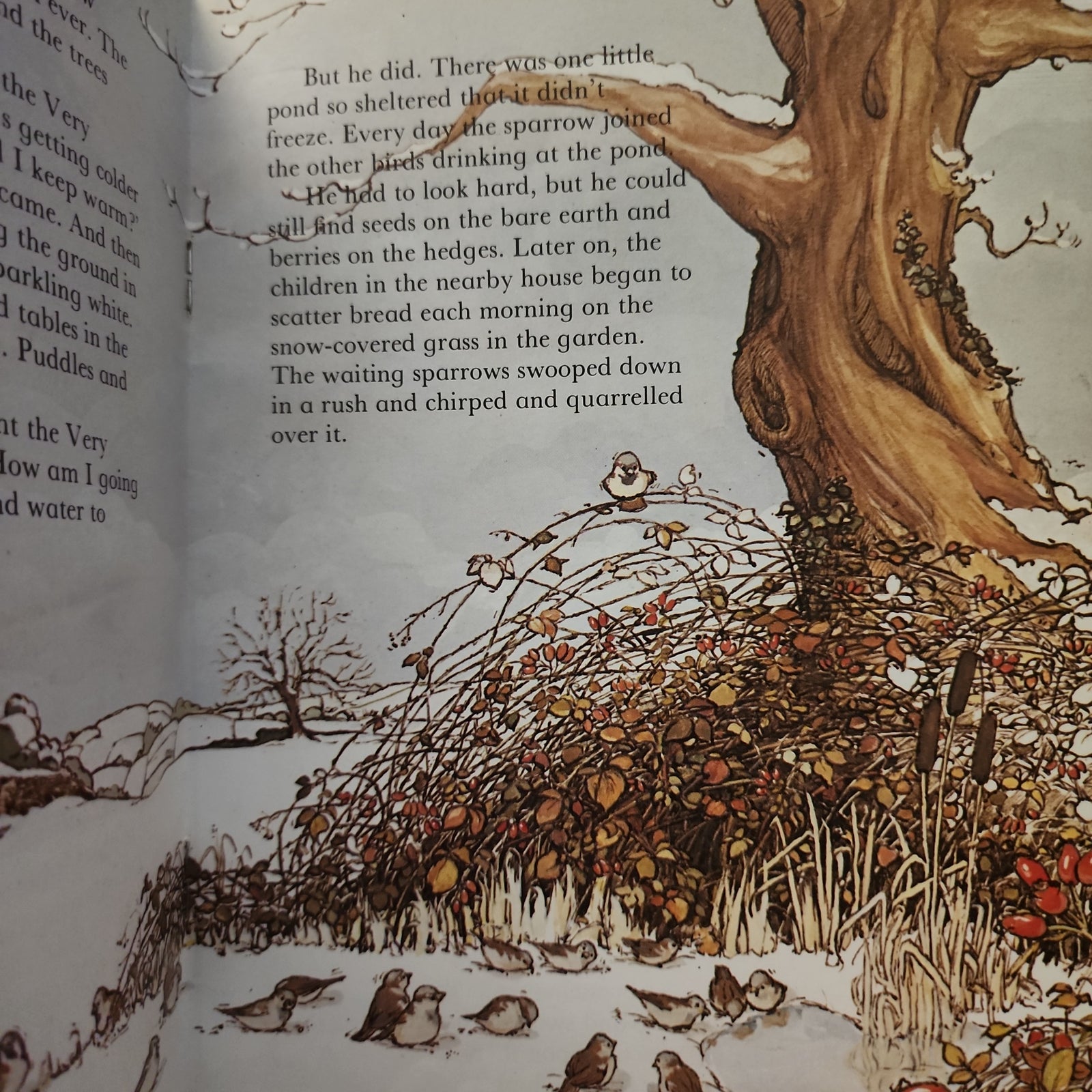 The Very Worried Sparrow by Meryl Doney