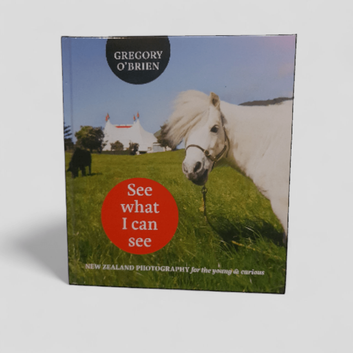 See What I Can See: New Zealand Photography for the Young and Curious by Gregory O'Brien - Books Worth Keeping