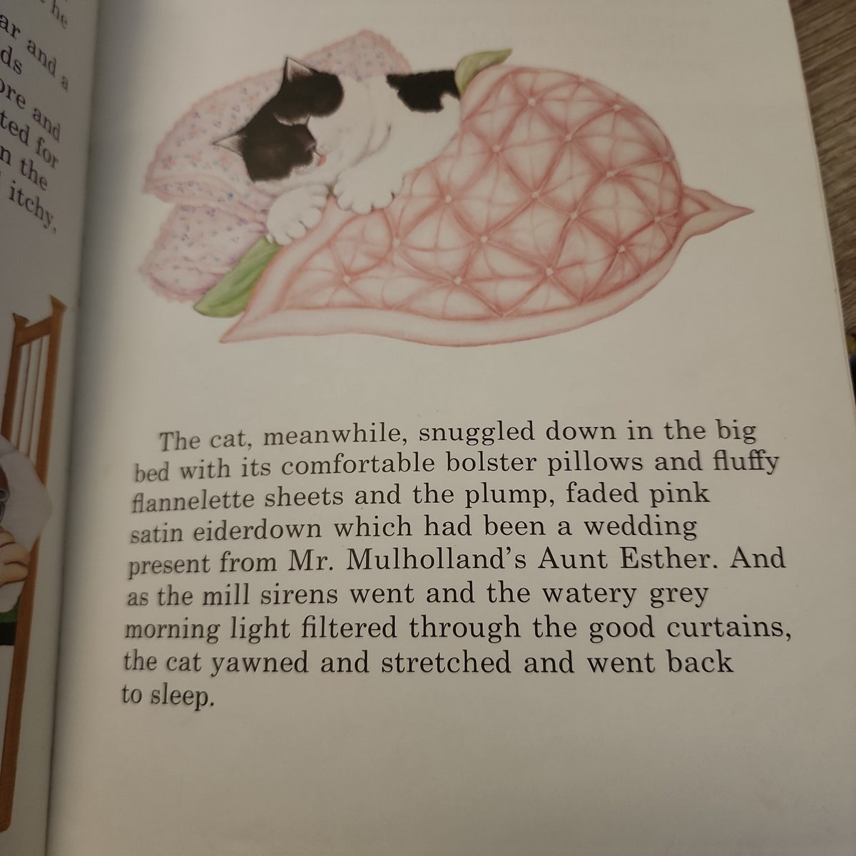Seven Years and a Day interior illustration of the cat