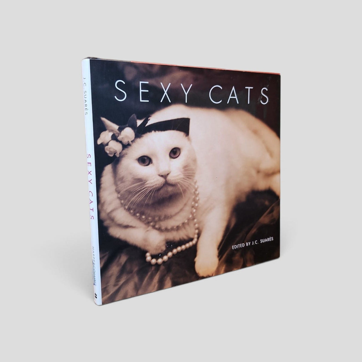 Sexy Cats by J C Suares front cover