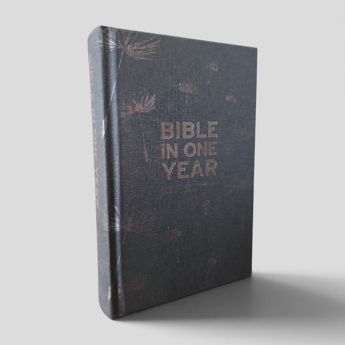 Bible in One Year — NIV New International Version, Hodder Hardcover — front cover