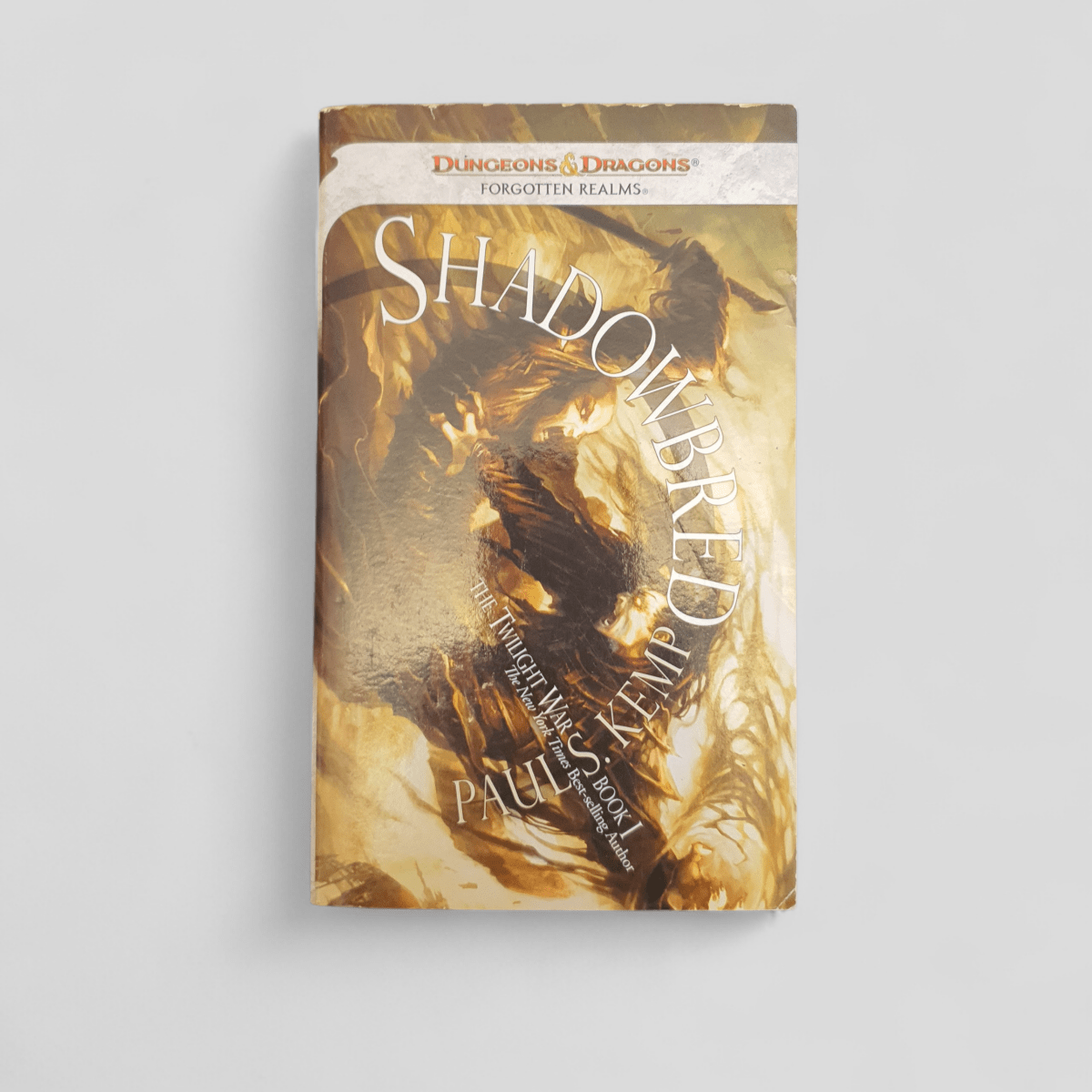 Shadowbred by Paul S. Kemp Dungeons &amp; Dragons / Forgotten Realms - Books Worth Keeping