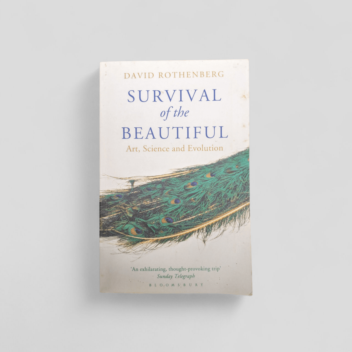 Survival of the Beautiful by David Rothenberg - Books Worth Keeping