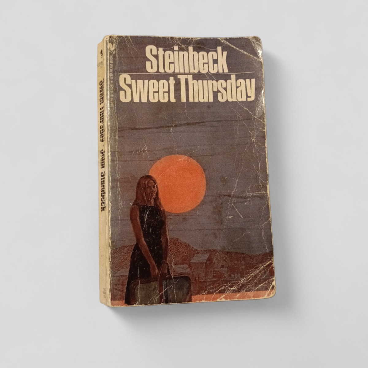 Sweet Thursday by Steinbeck - Books Worth Keeping