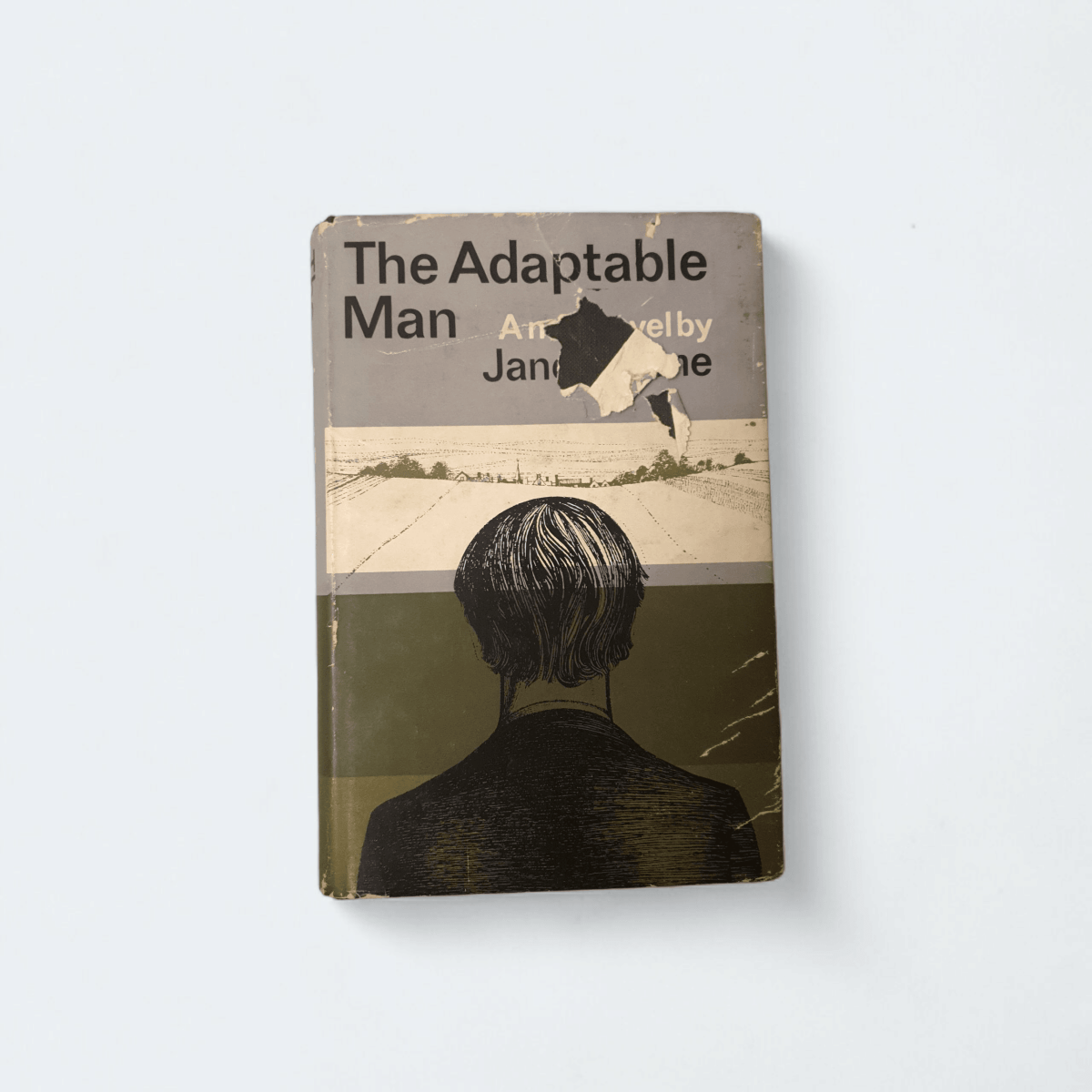 The Adaptable Man – Janet Frame - Books Worth Keeping