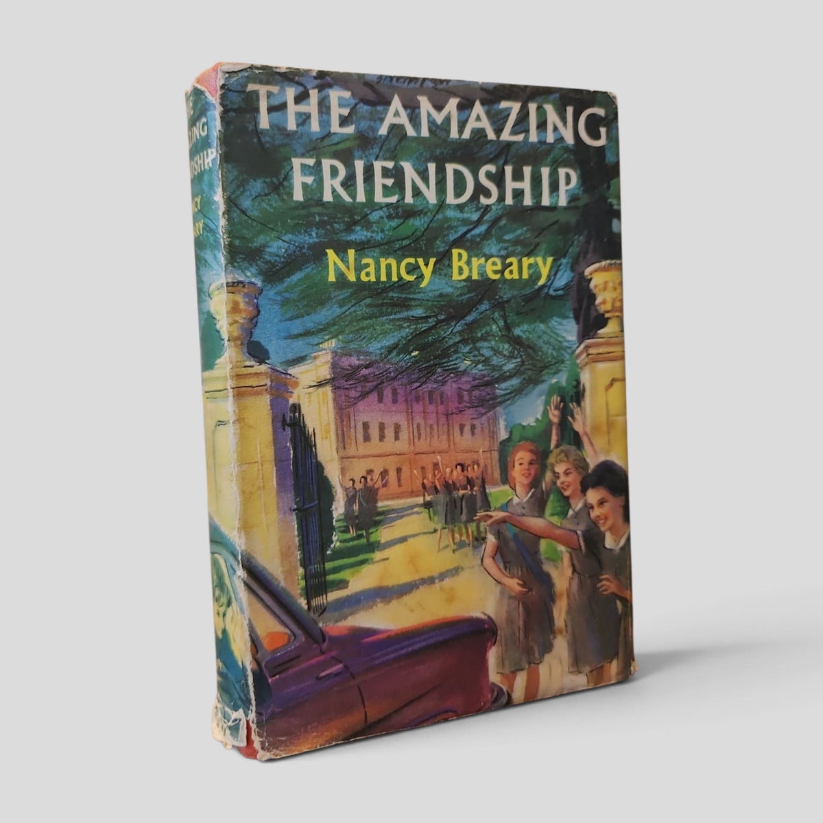 The Amazing Friendship by Nancy Breary — front cover