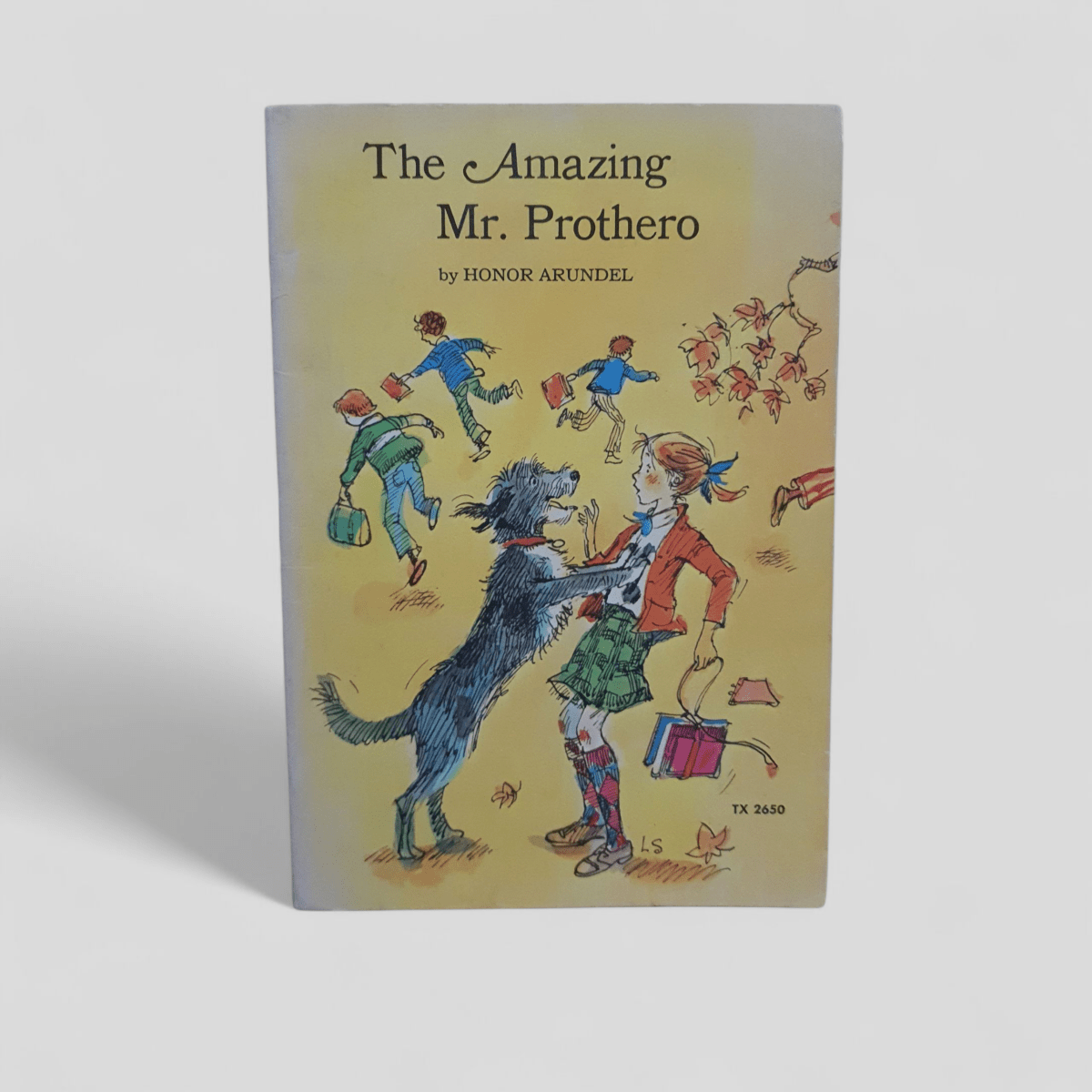 The Amazing Mr. Prothero by Honor Arundel - Books Worth Keeping