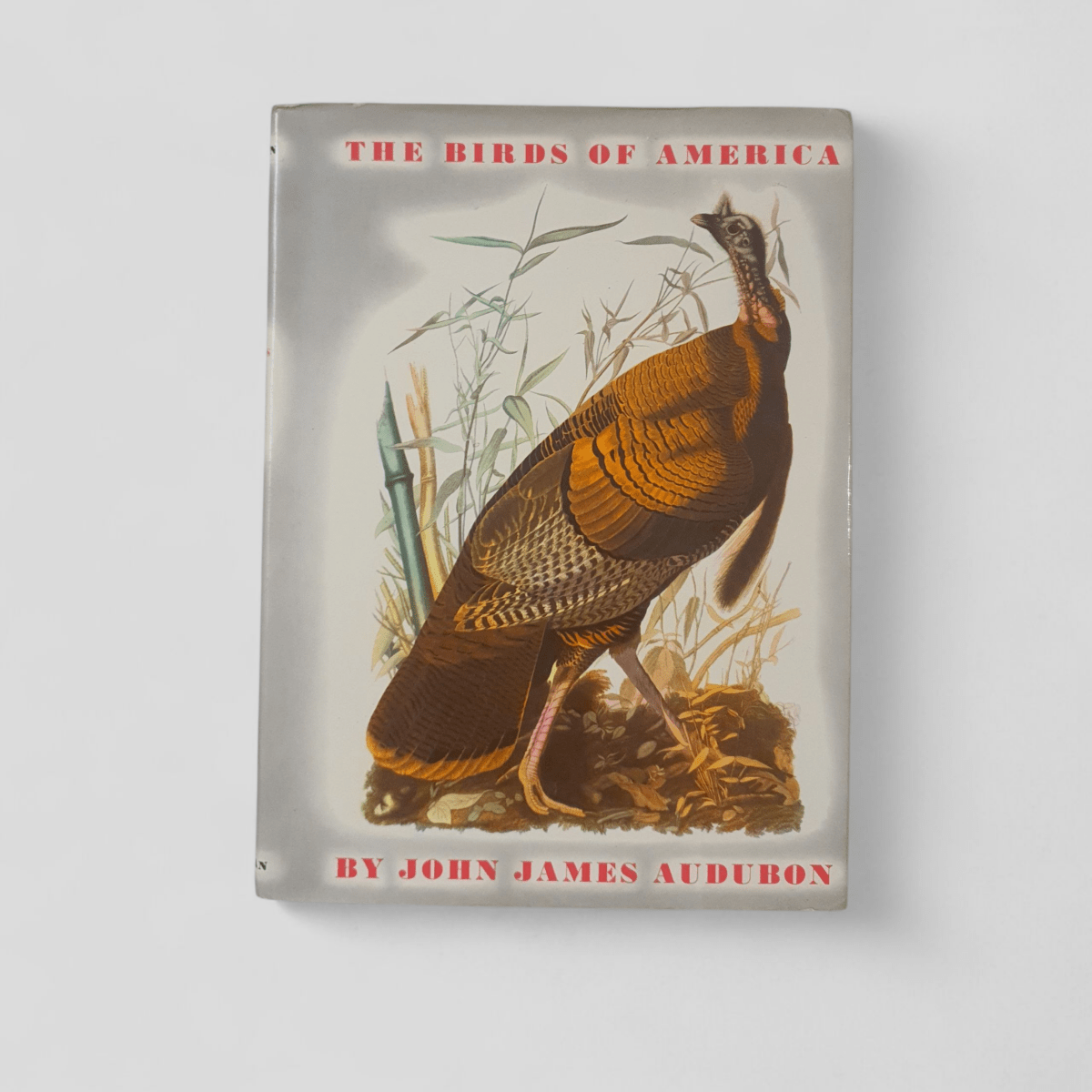 The Birds of America by John James Audubon - Books Worth Keeping