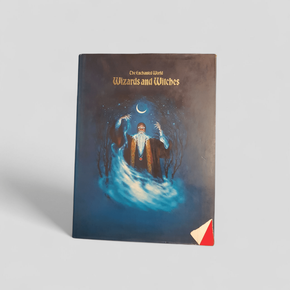 The Enchanted World: Wizards and Witches - Books Worth Keeping