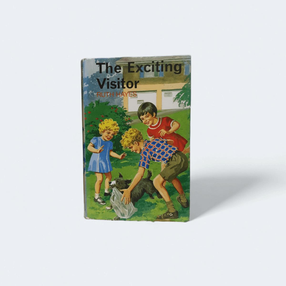 The Exciting Visitor – Ruth Hayes - Books Worth Keeping