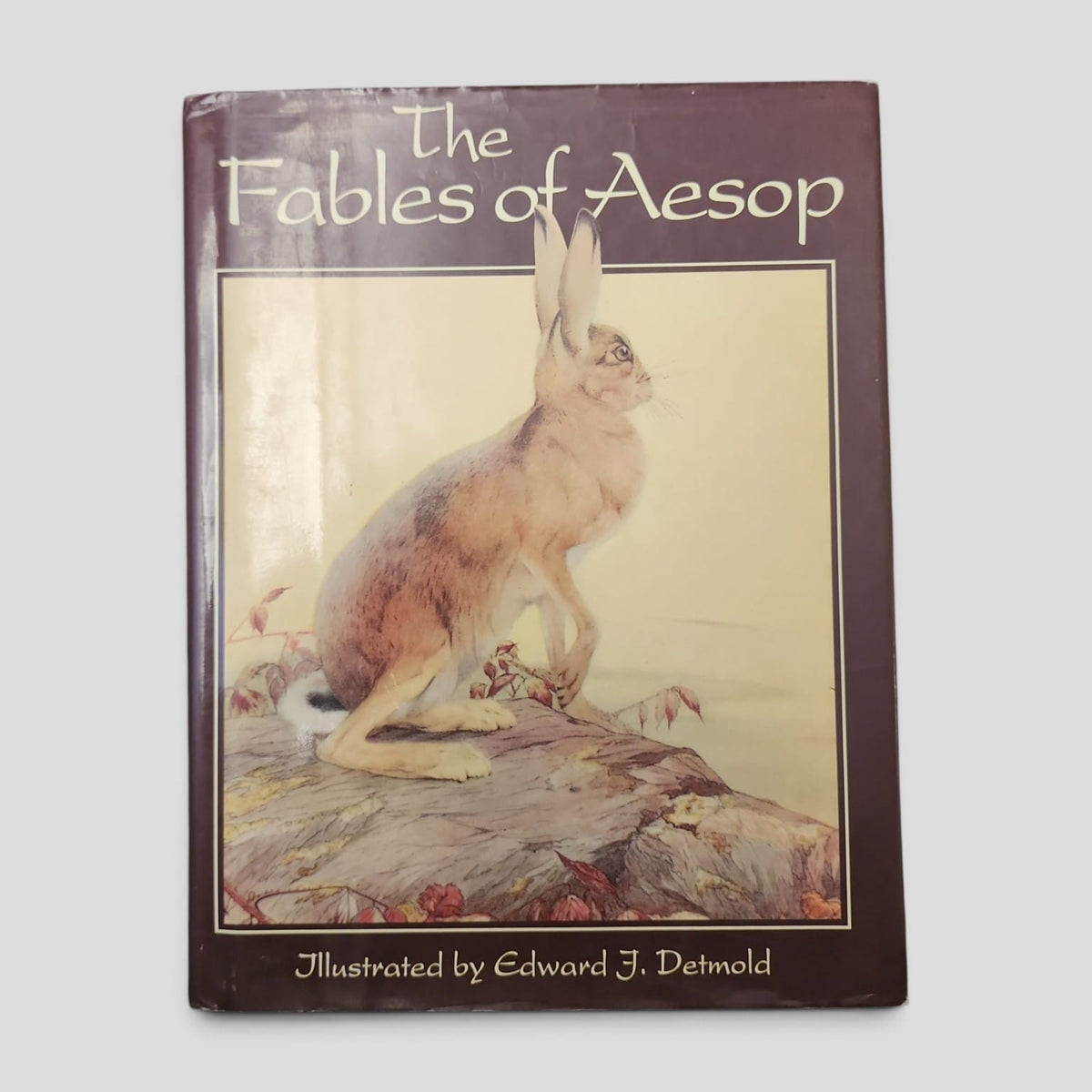 The Fables of Aesop illustrated by Edward J. Detmold - cover