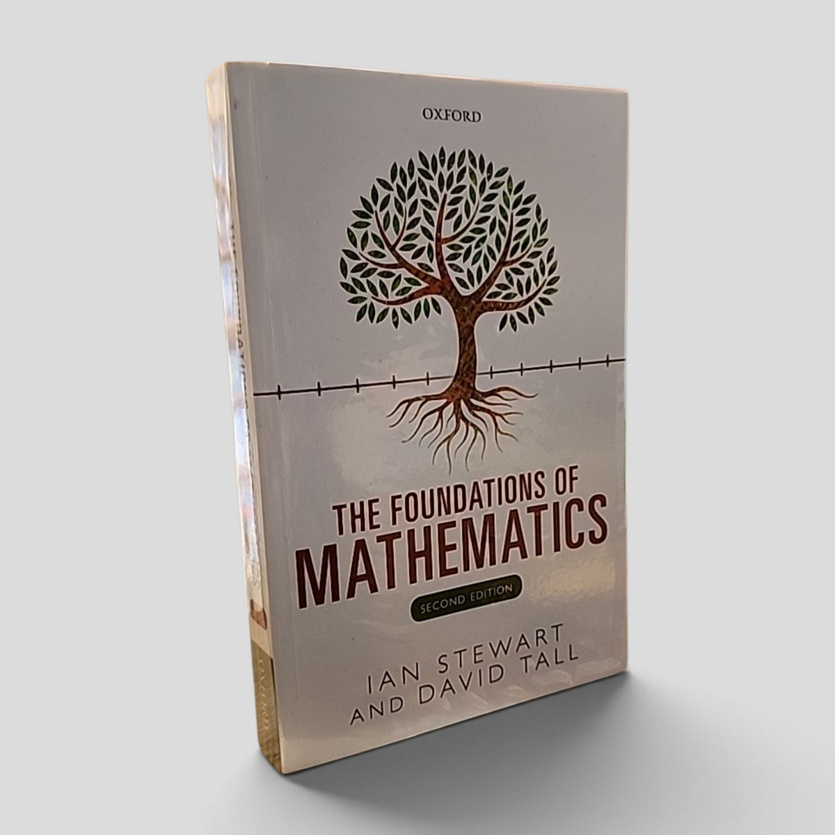 The Foundations of Mathematics by Ian Stewart and David Tall