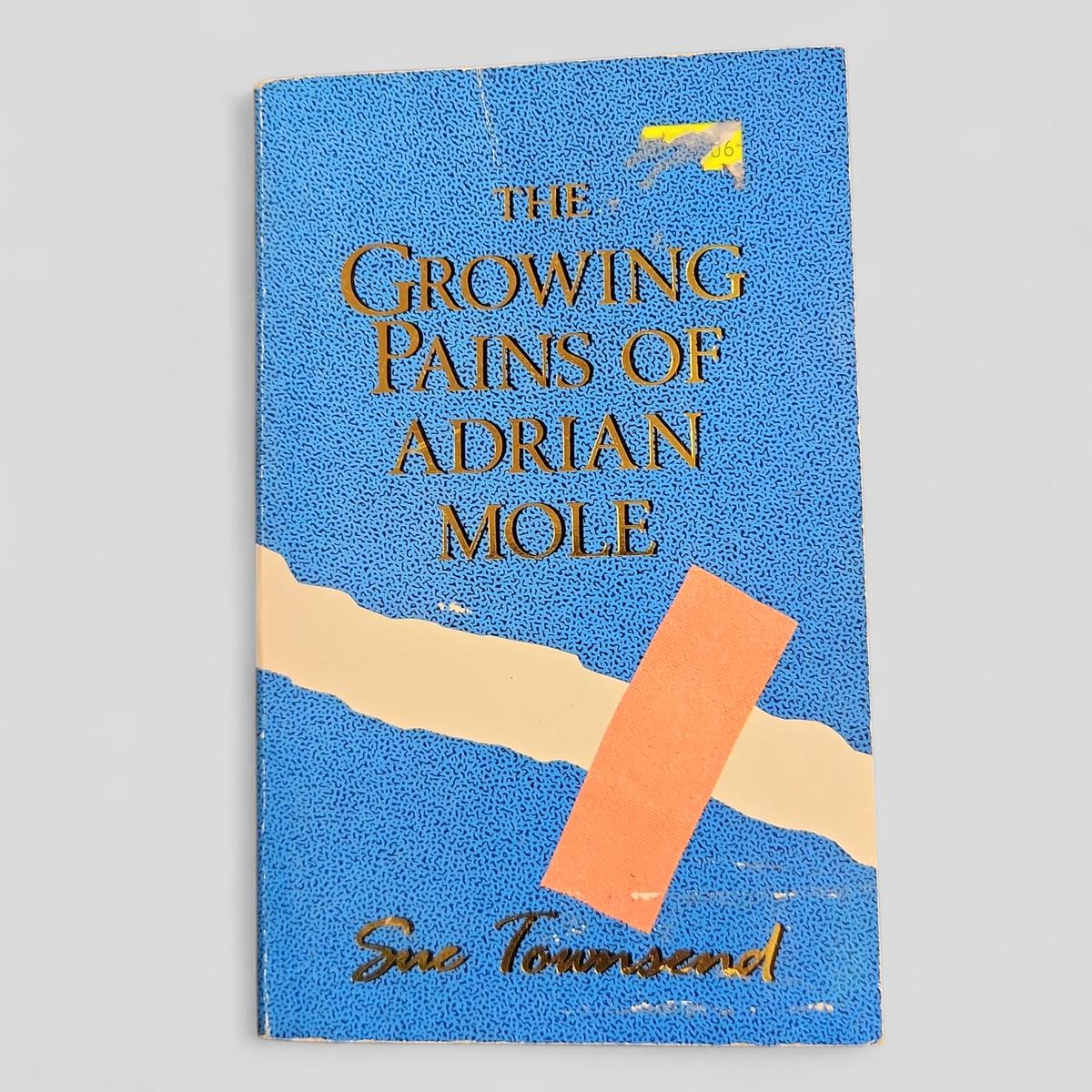 The Growing Pains of Adrian Mole by Sue Townsend - Books Worth Keeping