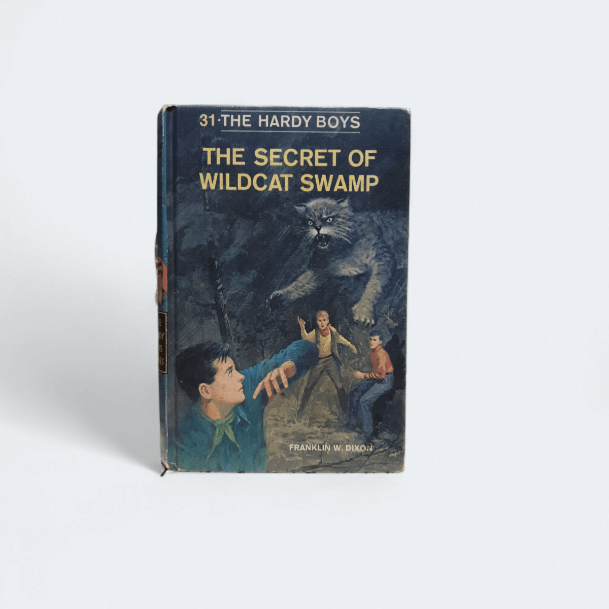 The Hardy Boys: The Secret of Wildcat Swamp – Franklin W. Dixon - Books Worth Keeping